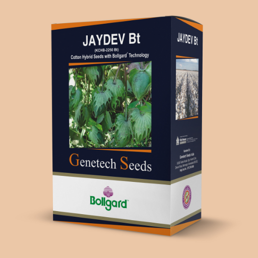 JAYDEV BGII