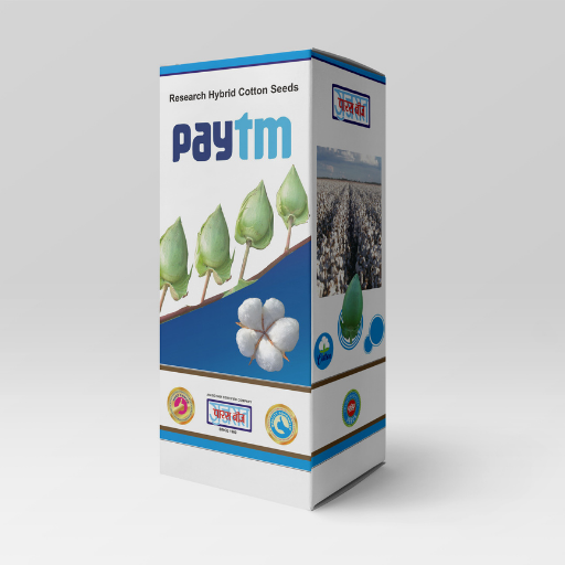 PayTM